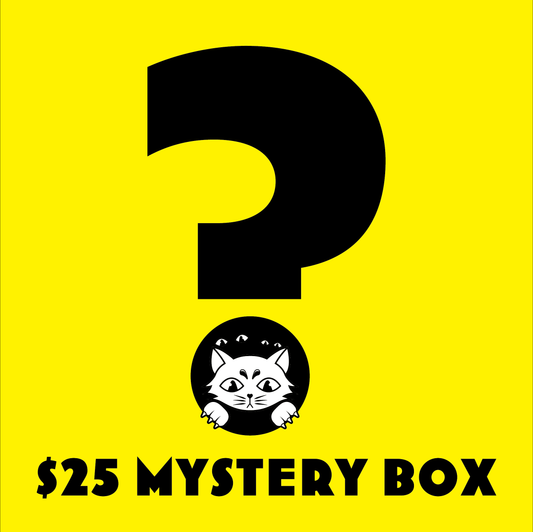 $25 Vintage & Modern Mystery Box