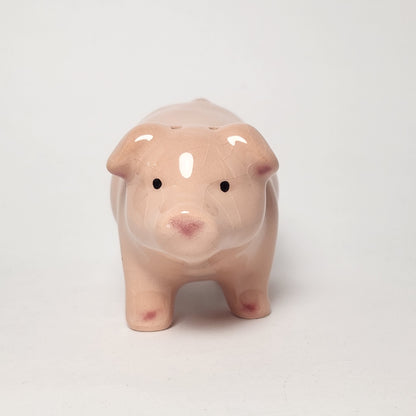 Pink and Gray Pigs Salt and Pepper Shaker Set